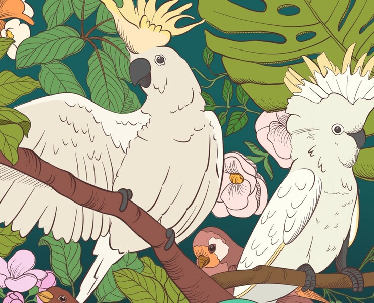 Packing/ Pattern/ Illustration — Брендинг, Иллюстрация на Dprofile