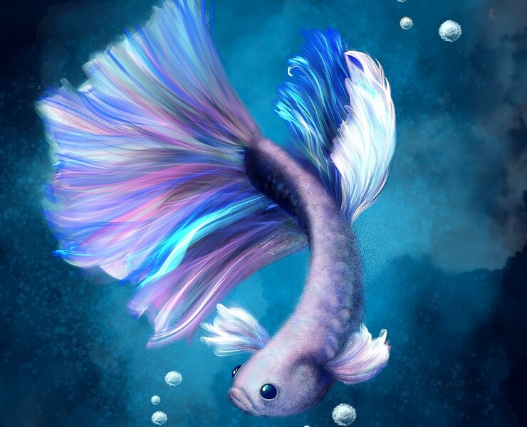 Ocean ilustrations — Иллюстрация, Анимация на Dprofile