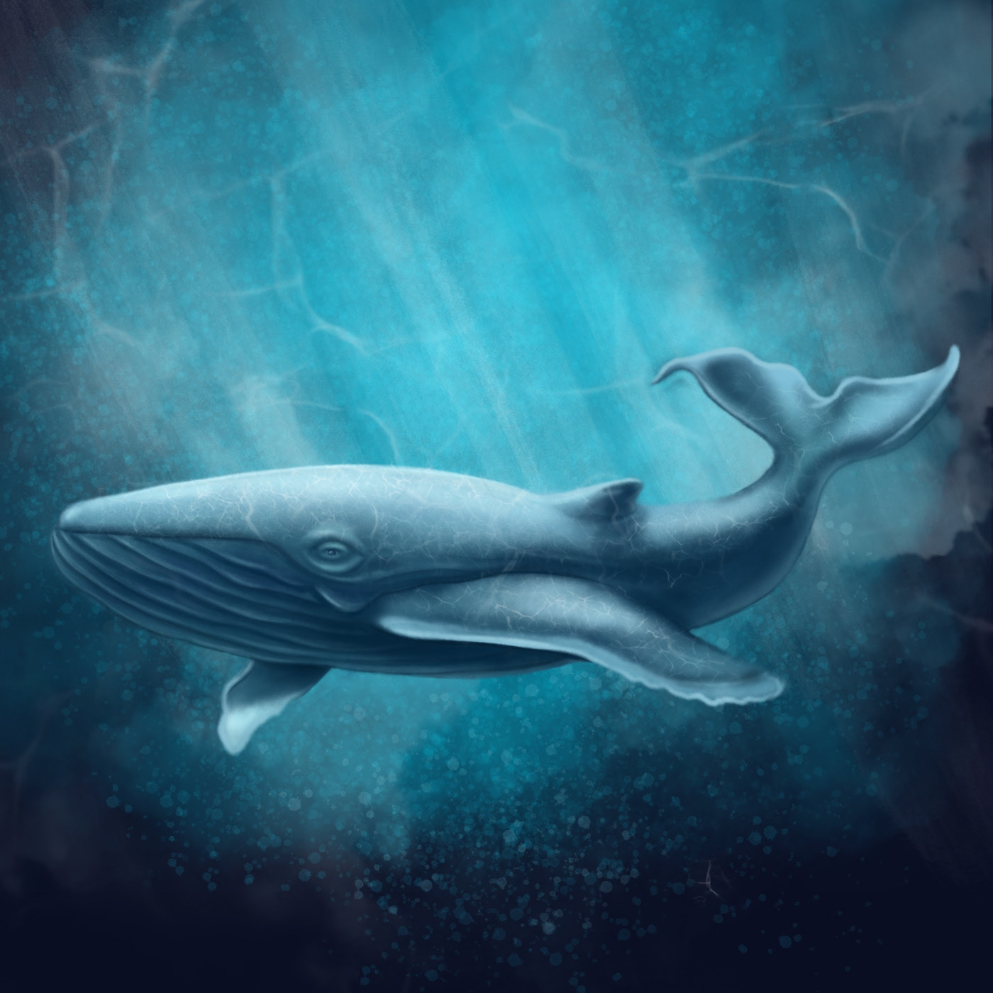 Ocean ilustrations — Изображение №2 — Иллюстрация, Анимация на Dprofile