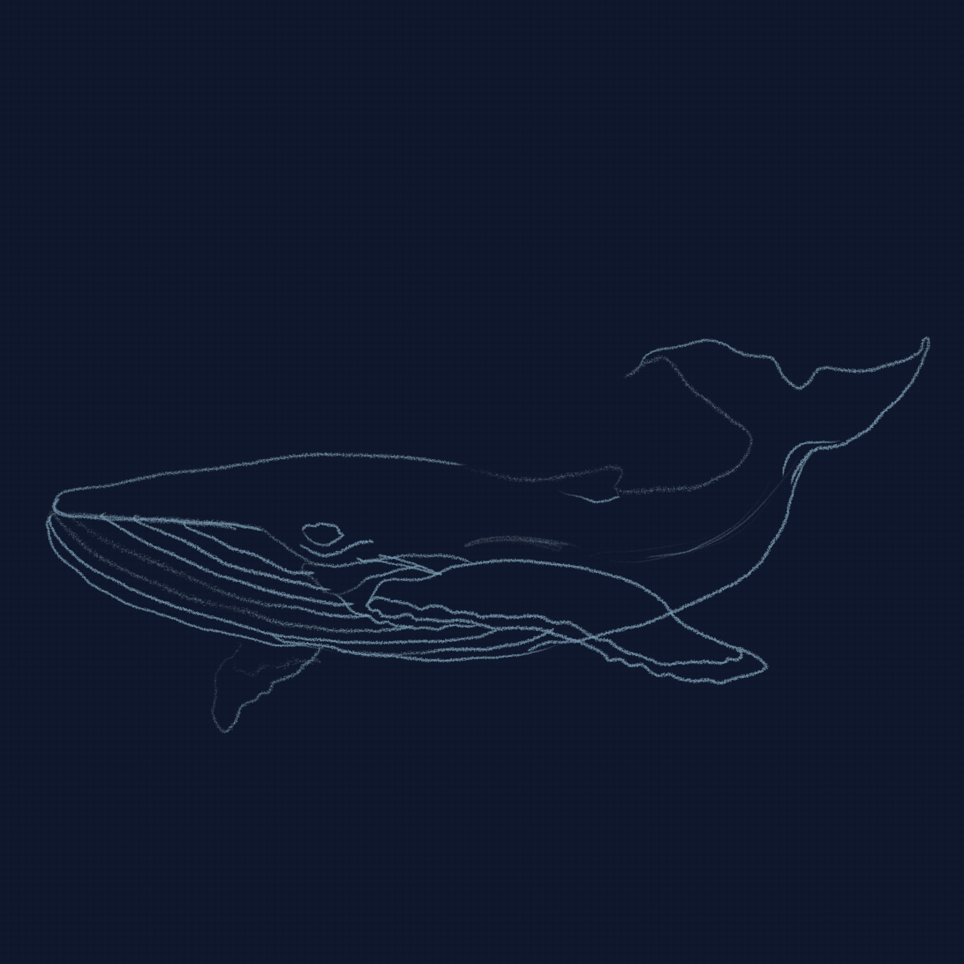 Ocean ilustrations — Изображение №5 — Иллюстрация, Анимация на Dprofile