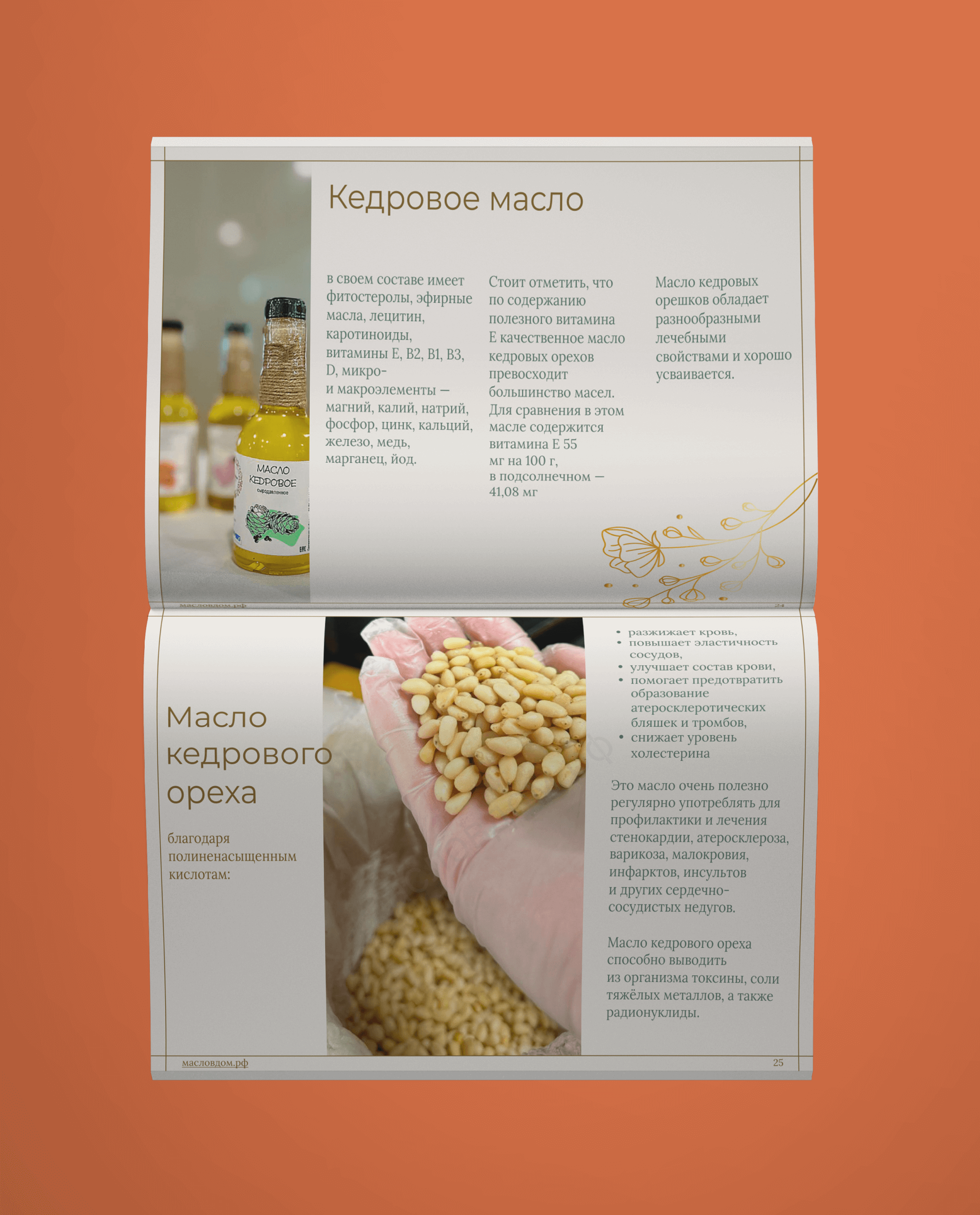 Дизайн Гайда сыродавленных масел — Изображение №3 — Интерфейсы, Брендинг на Dprofile