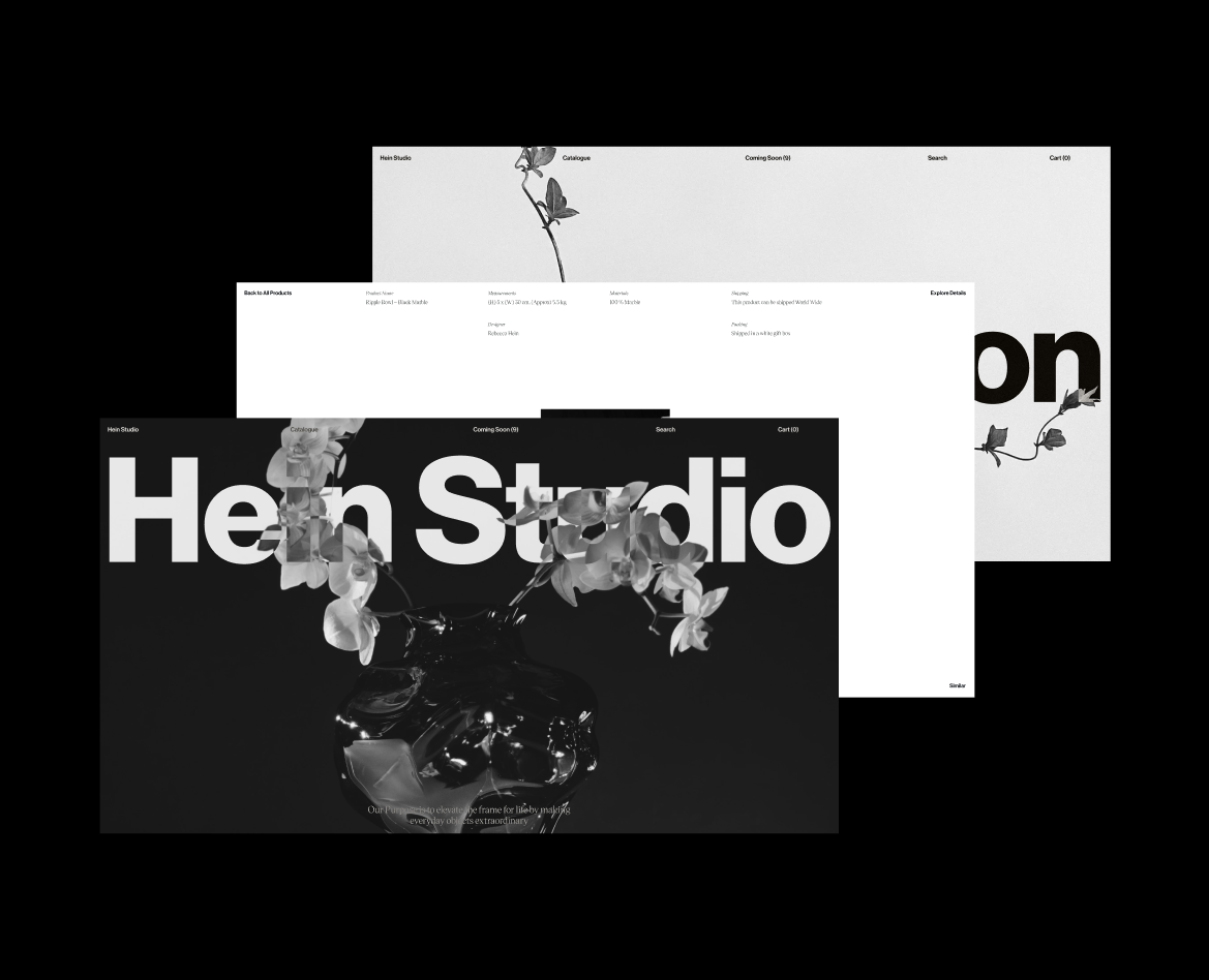 Hein Studio — Интерфейсы, Анимация на Dprofile