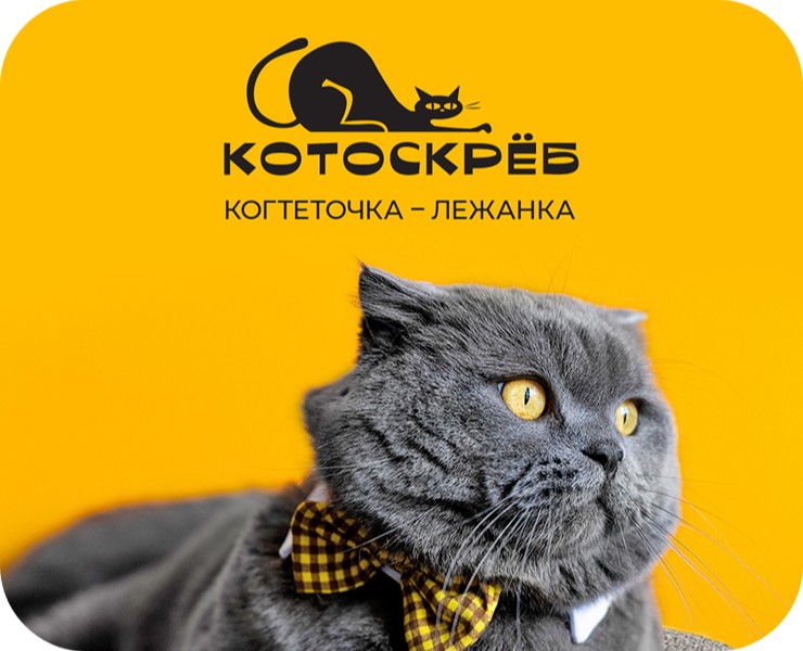 Котоскрёб - новое имя лежанки-когтеточки для пушистиков — Брендинг на Dprofile