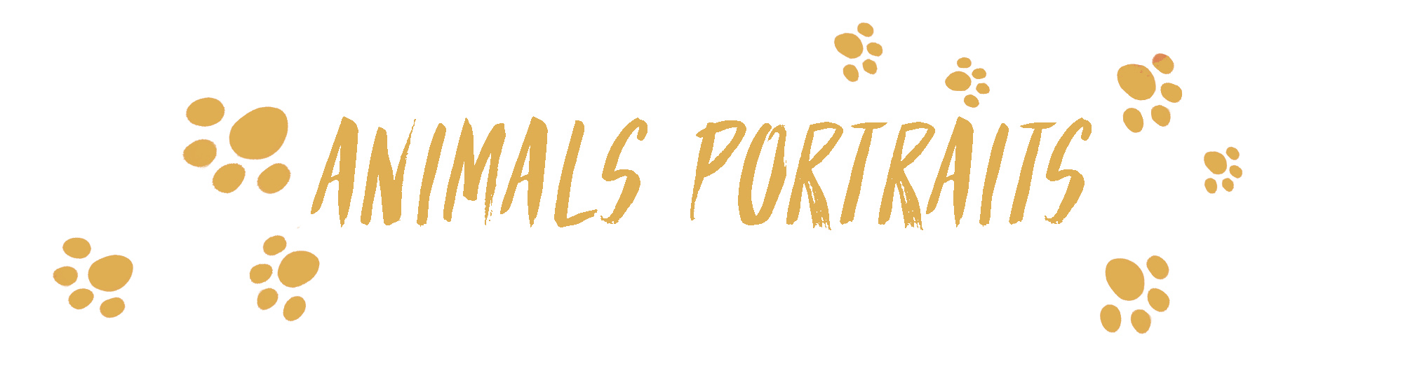 Portraits of shelter animals — Изображение №1 — Иллюстрация, Графика на Dprofile