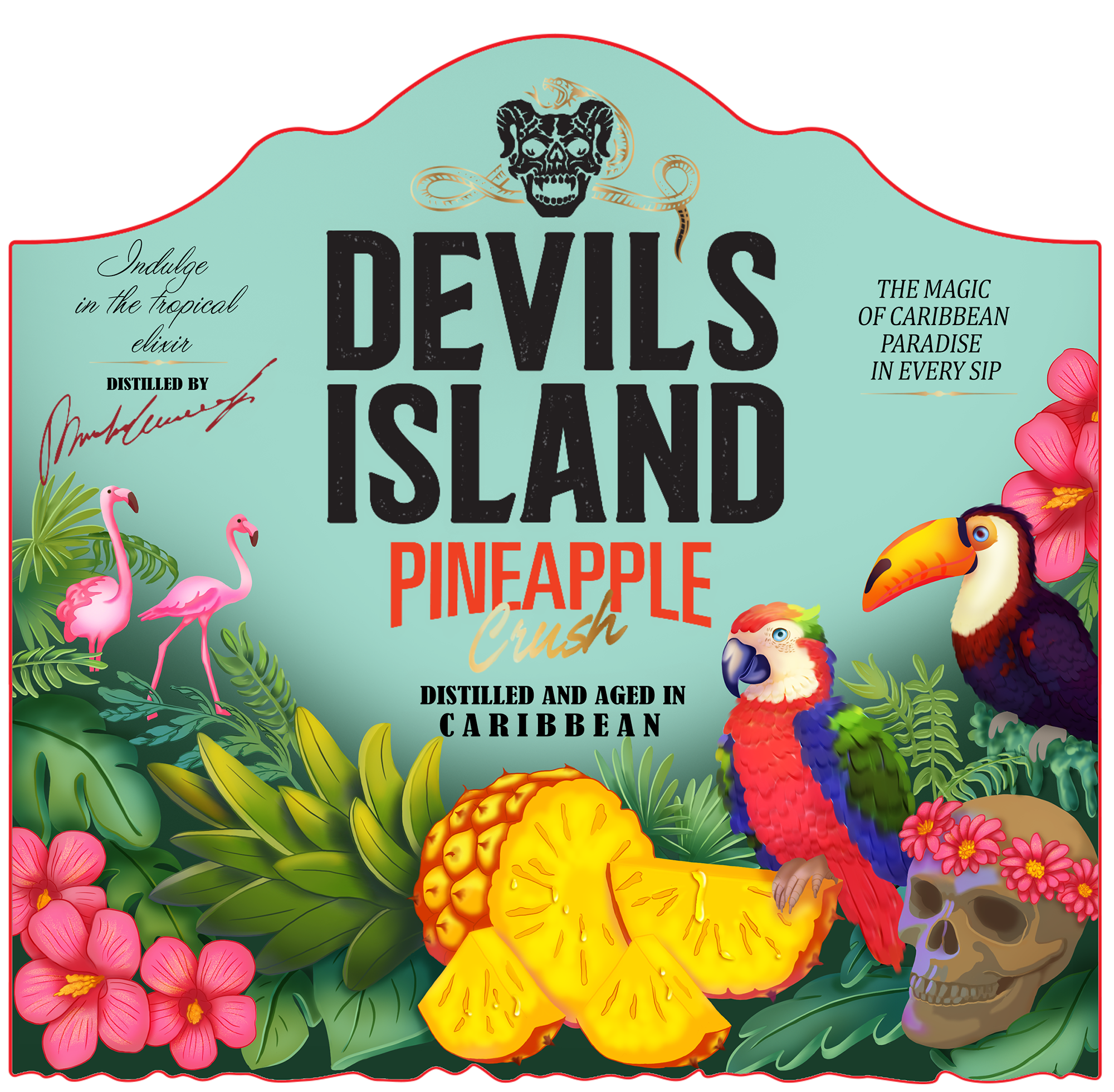 Иллюстрация на этикетку рома Devil's Island — Изображение №6 — Брендинг, Иллюстрация на Dprofile