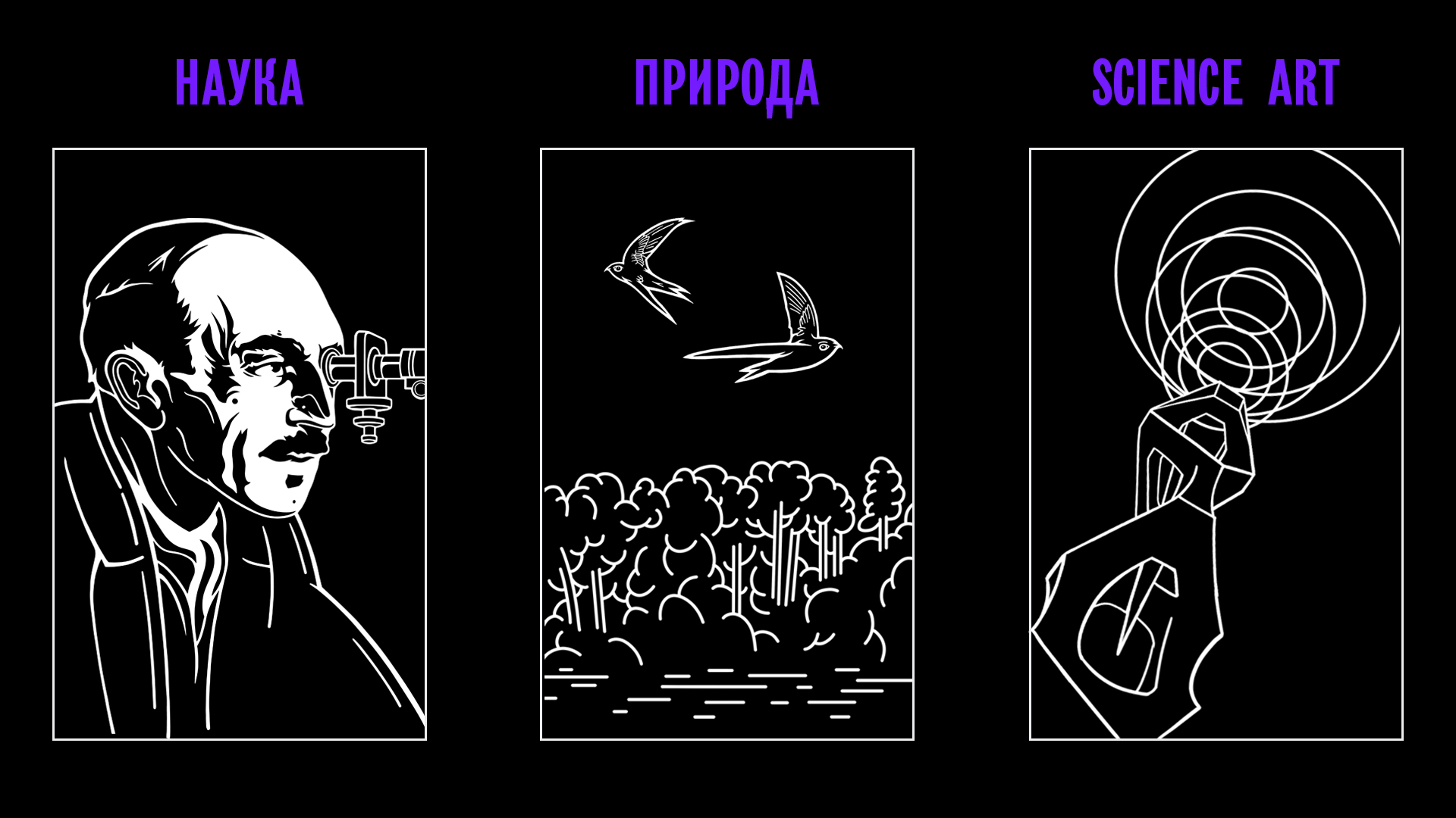 Черноголовка. Дизайн проекции — Изображение №3 — Иллюстрация на Dprofile