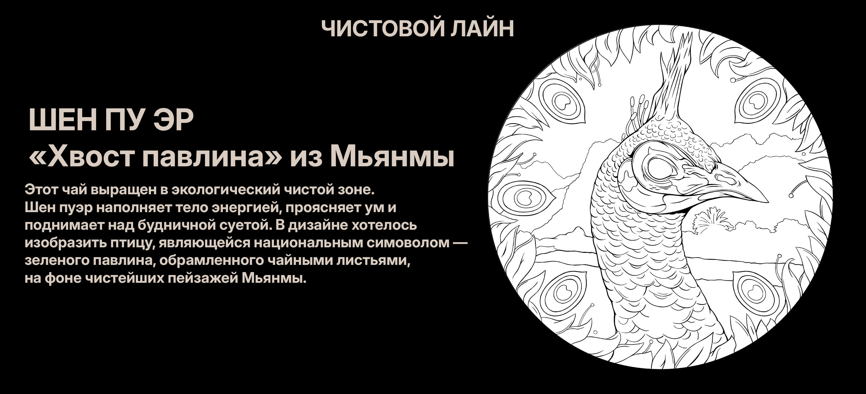 КАЧАЕМ ДИЗАЙН. ИЛЛЮСТРАЦИИ ДЛЯ УПАКОВКИ ЧАЯ ДЛЯ — Изображение №4 — Брендинг, Иллюстрация на Dprofile