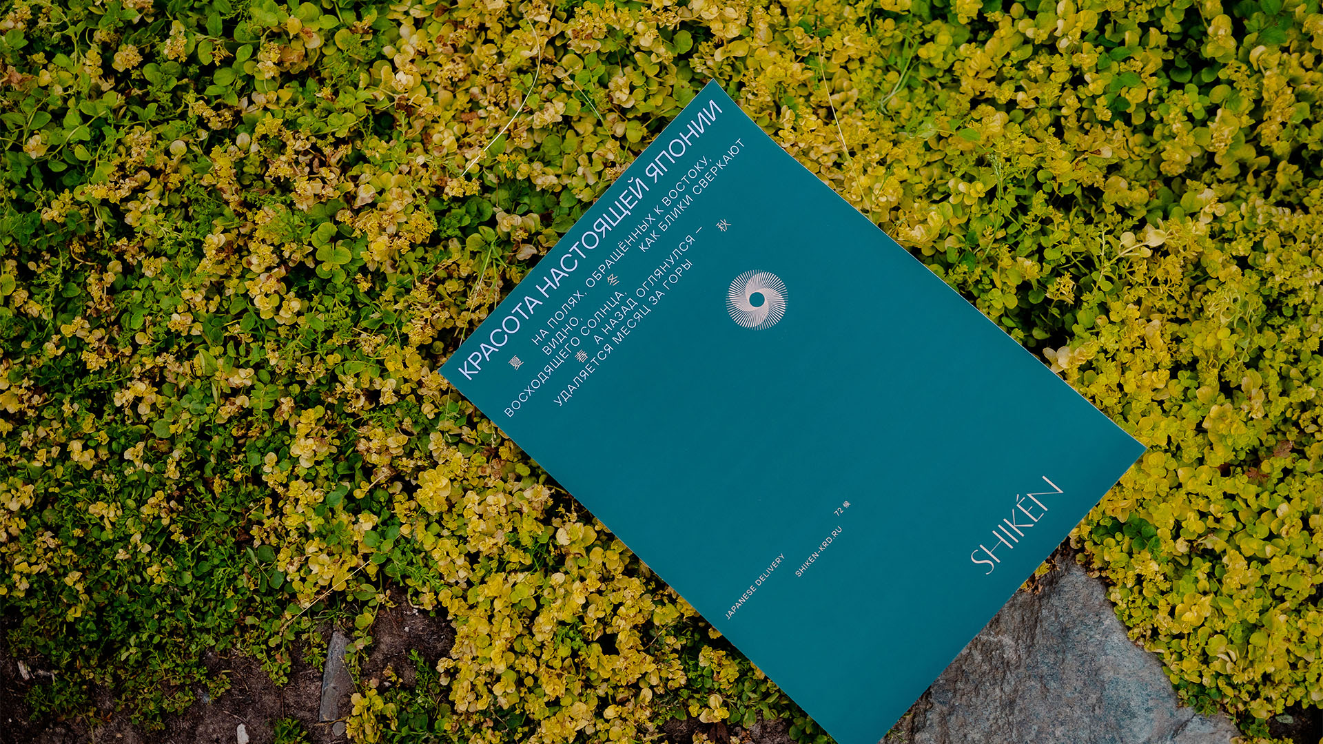 Айдентика ресторана-доставка японской кухни Shiken — Изображение №11 — Брендинг, Графика на Dprofile