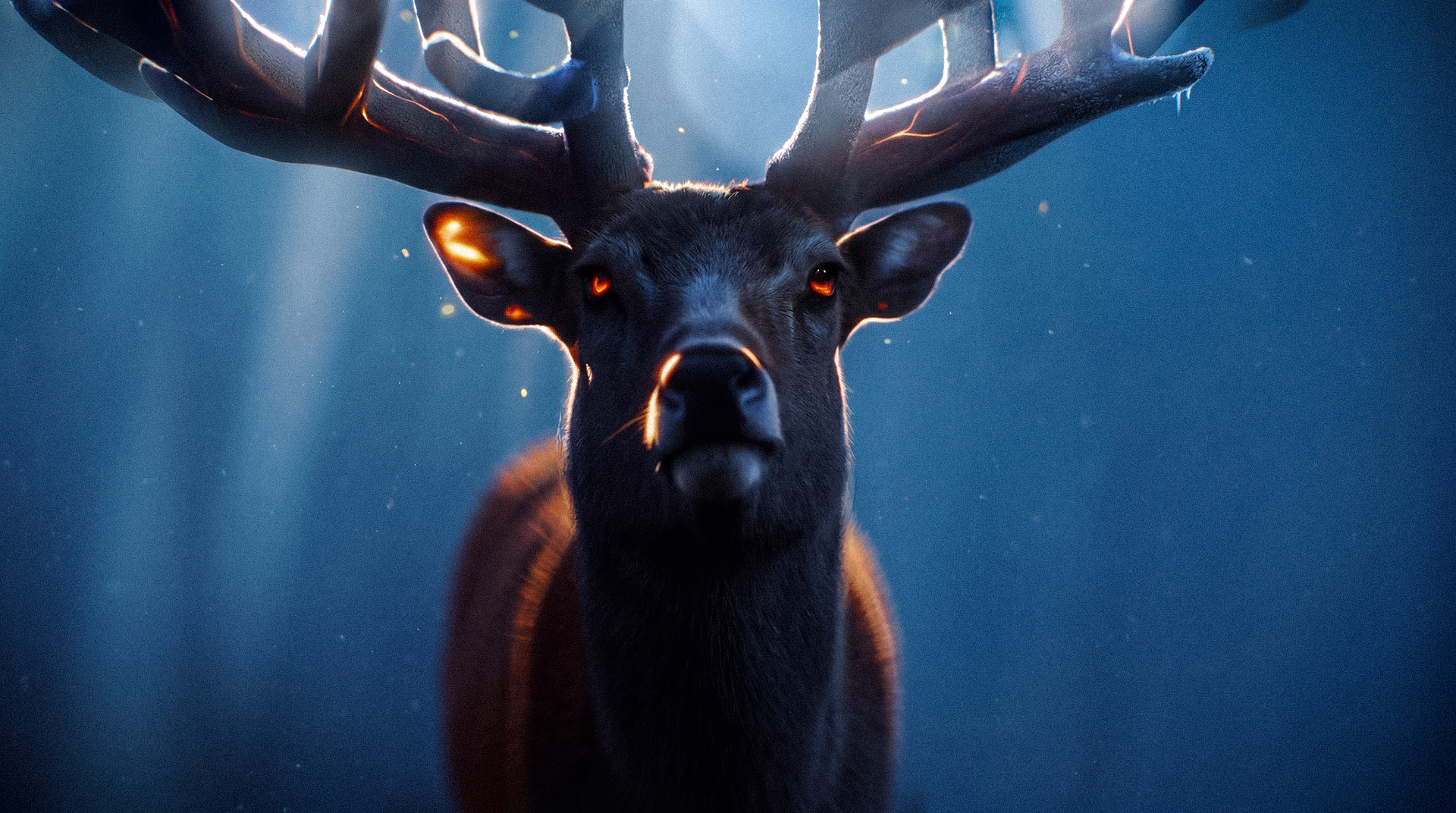 ANIMA — Изображение №12 — Нейро на Dprofile