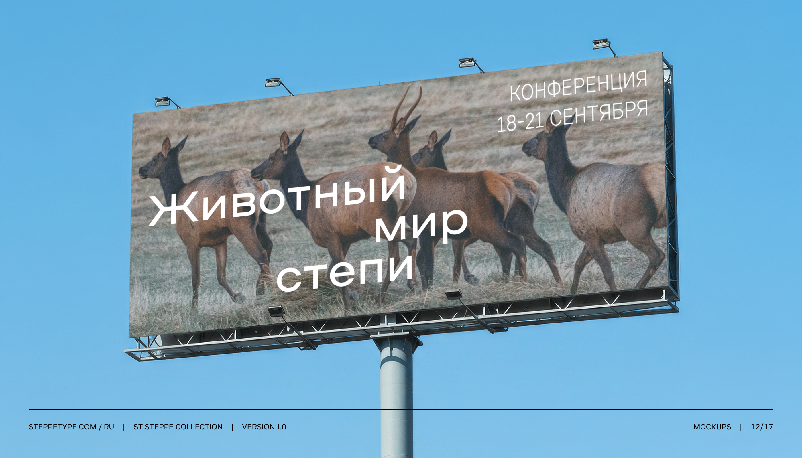 ST Steppe Collection — Изображение №12 — Графика на Dprofile