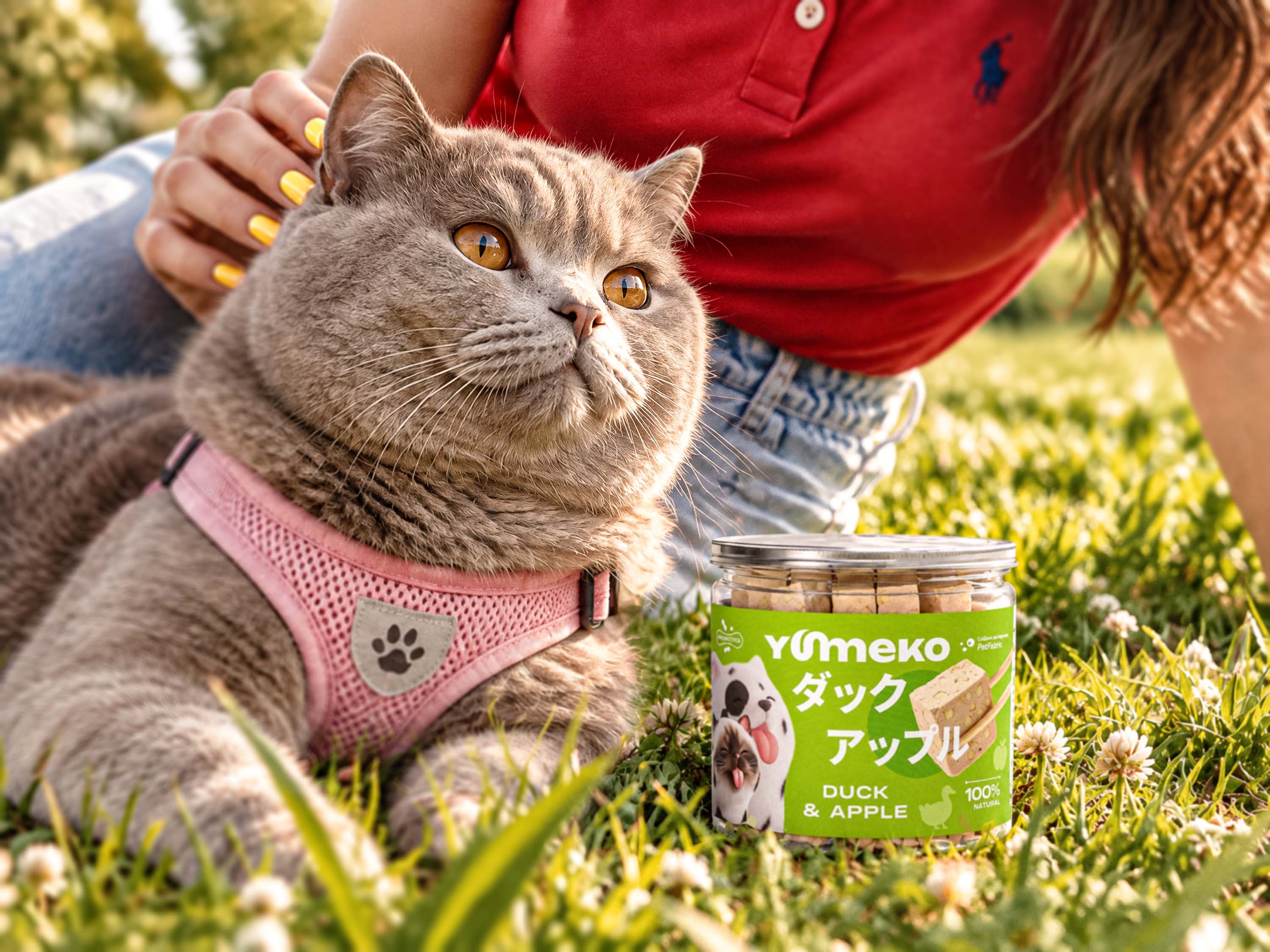 YUMEKO — Freeze-Dried Treats Brand Identity & Packaging — Изображение №12 — Брендинг, 3D на Dprofile