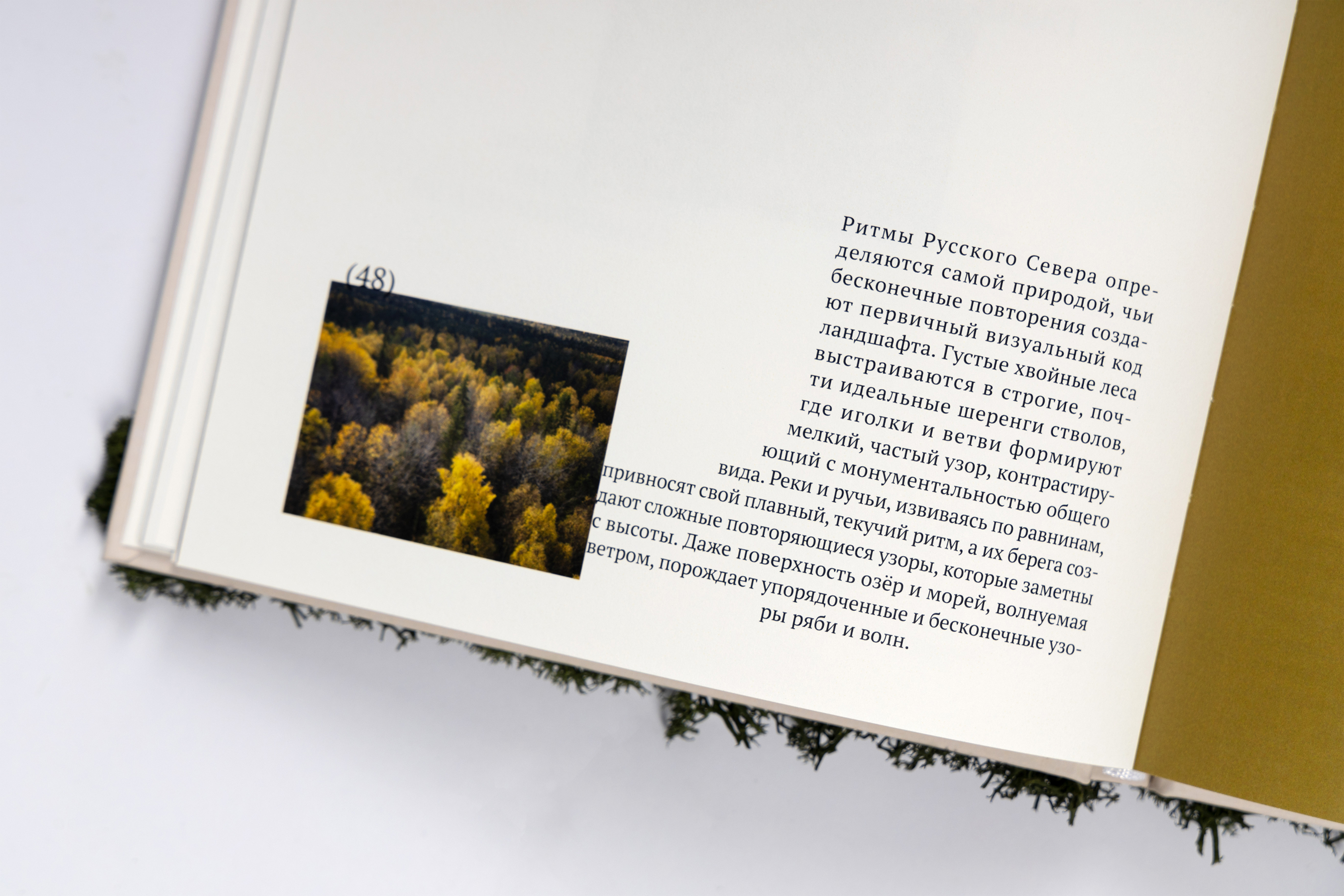 Визуальный код Русского Севера: симбиоз природы и человека | Книга — Изображение №6 — Брендинг, Графика на Dprofile