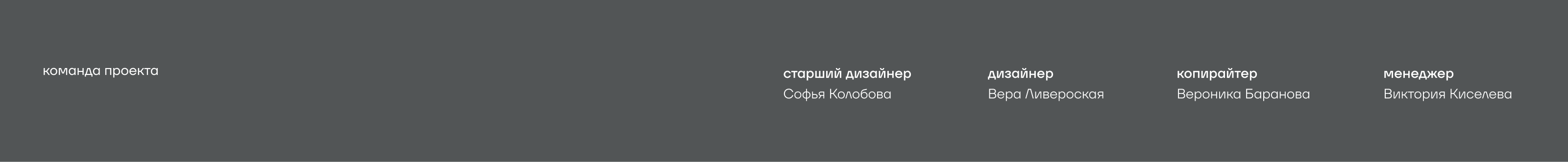 Тишин | Буклет проекта — Изображение №17 — Брендинг, Графика на Dprofile