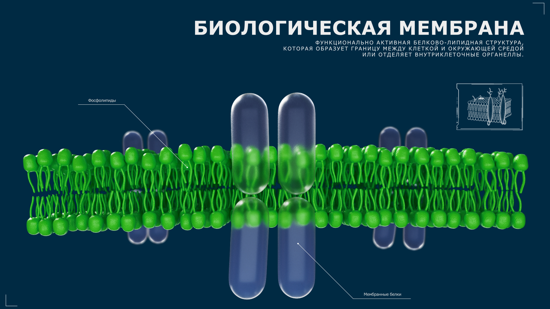 Медицинская 3d видео презентация — Изображение №4 — 3D, Анимация на Dprofile