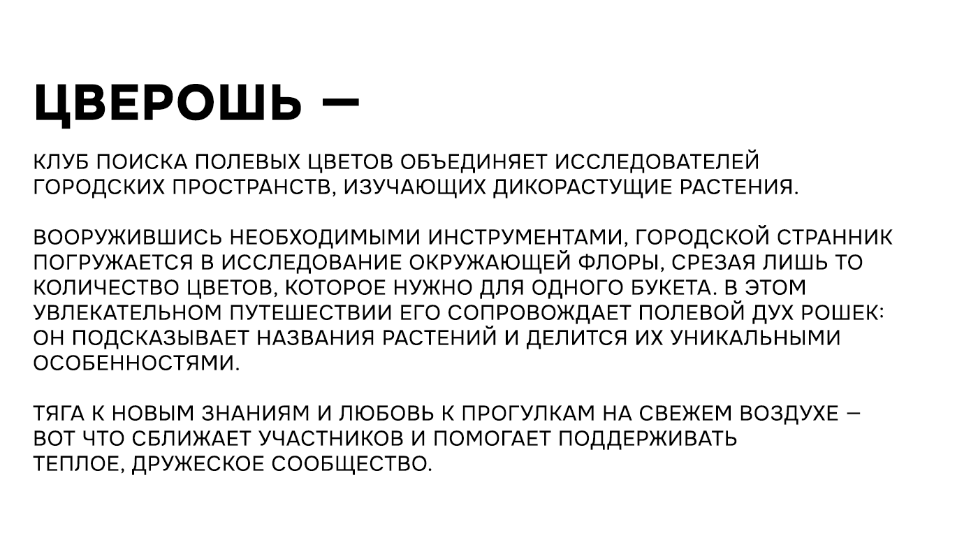 ЦВЕРОШЬ | брендинг — Изображение №2 — Брендинг на Dprofile