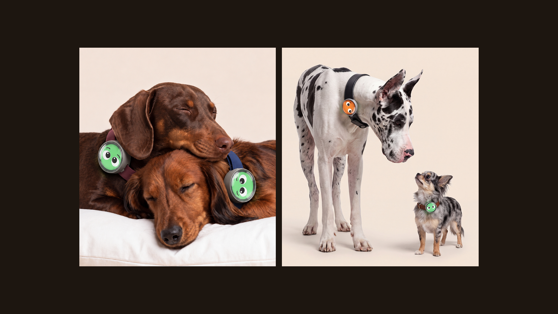 Pawsona — Emotional Wearable for Dogs — Изображение №11 — Промдизайн, Нейро на Dprofile