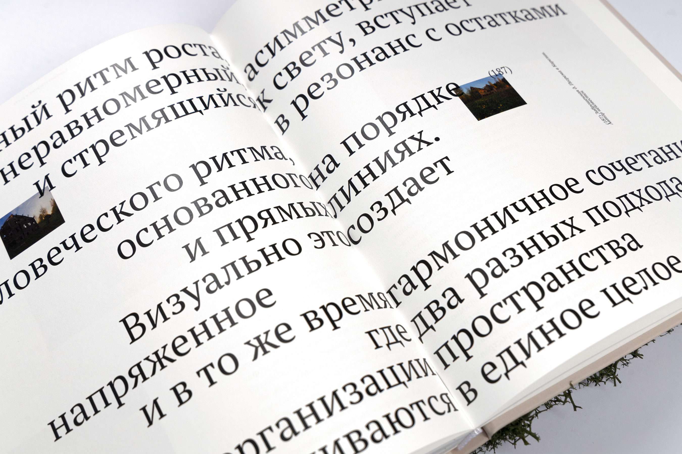 Визуальный код Русского Севера: симбиоз природы и человека | Книга — Изображение №12 — Брендинг, Графика на Dprofile