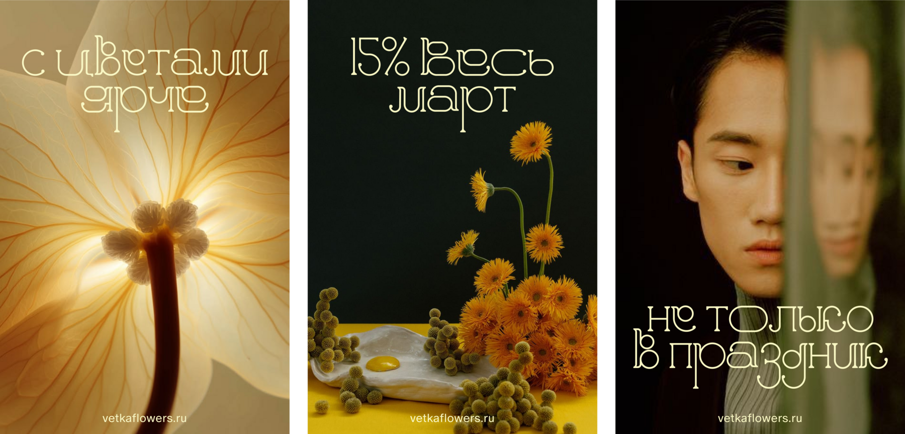 vetka | font — Изображение №6 — Брендинг, Графика на Dprofile