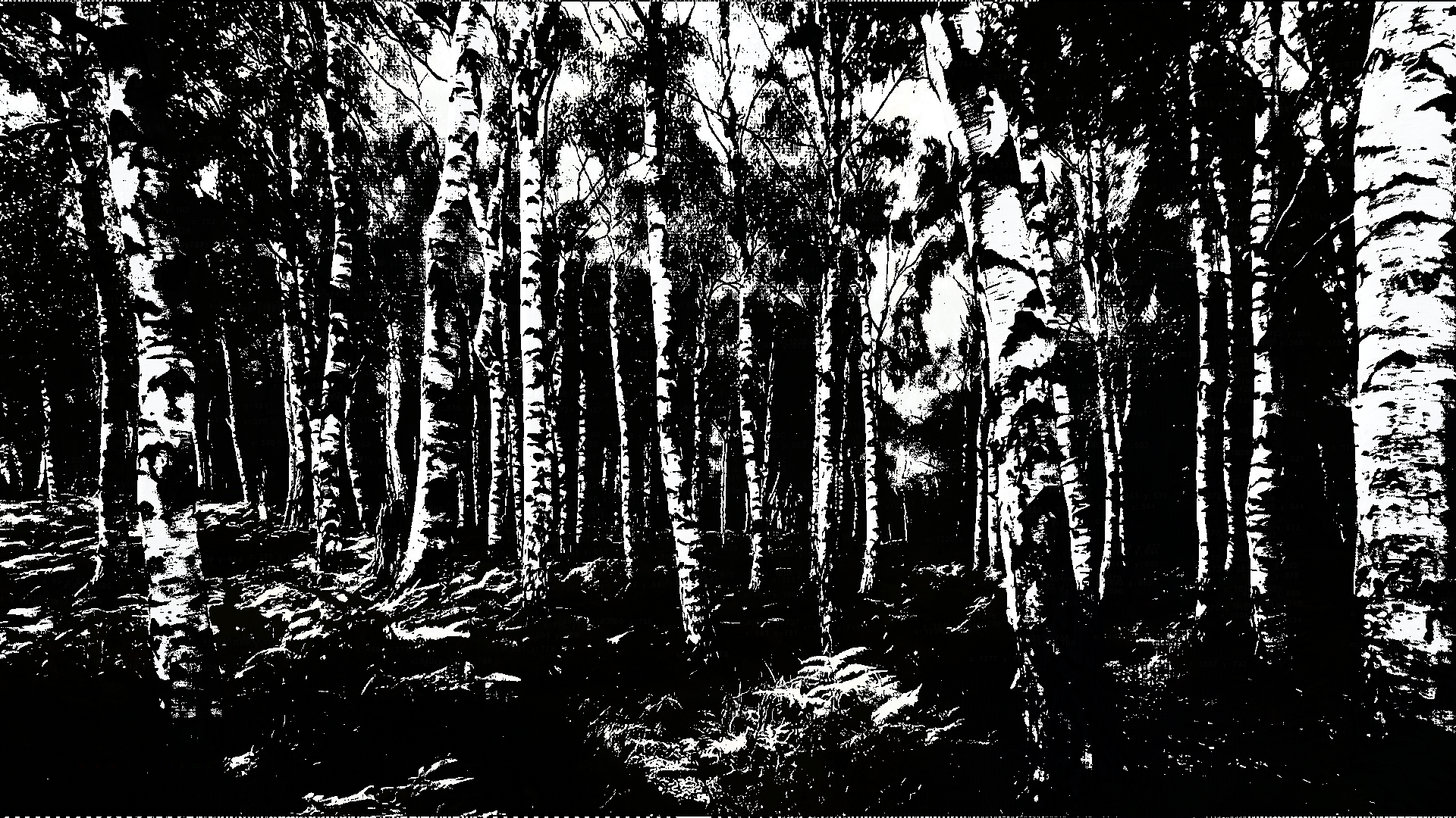 Birch Grove — Изображение №4 — Нейро на Dprofile