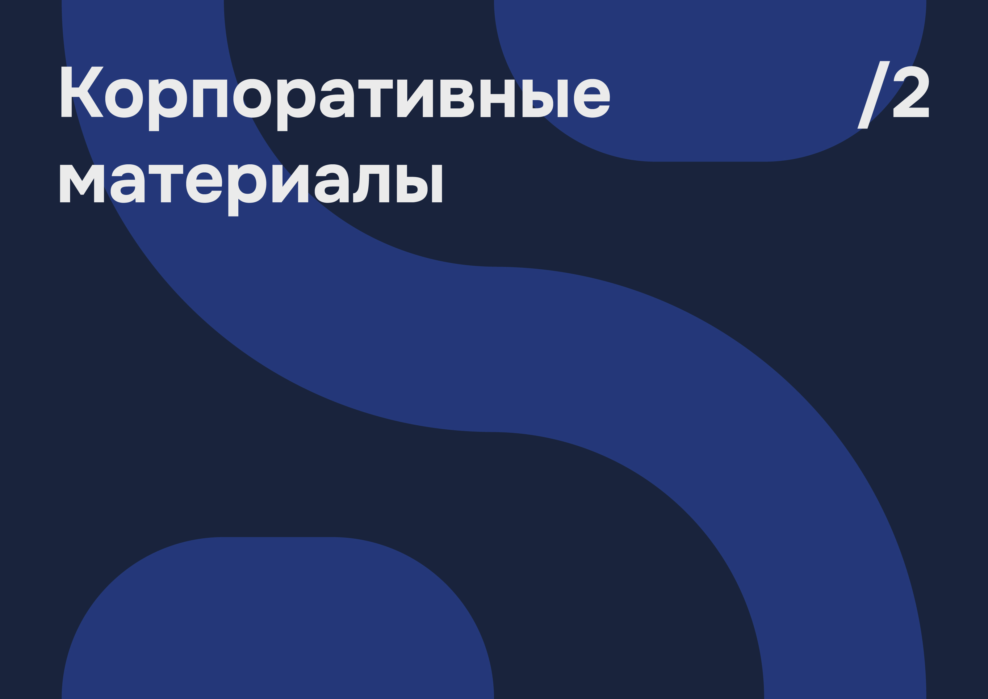 Nirapo | Brandbook — Изображение №15 — Брендинг, Графика на Dprofile