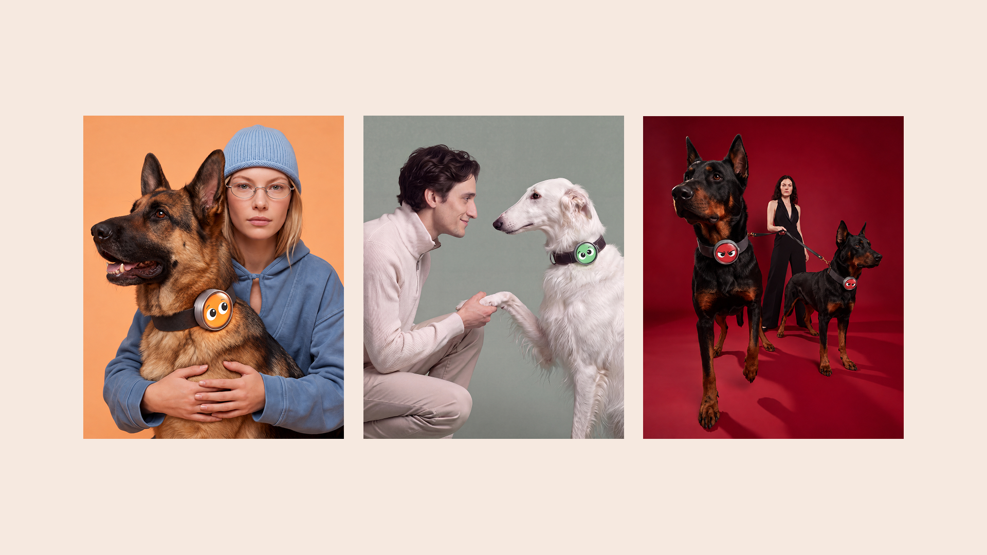 Pawsona — Emotional Wearable for Dogs — Изображение №10 — Промдизайн, Нейро на Dprofile