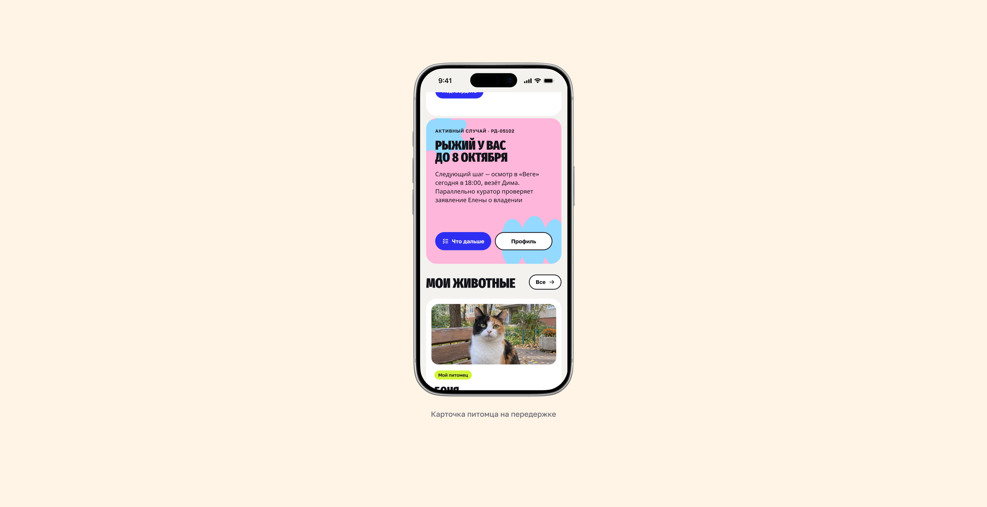 Рядом — помощь животным | UX/UI & Brand Identity — Изображение №5 — Интерфейсы, Брендинг на Dprofile