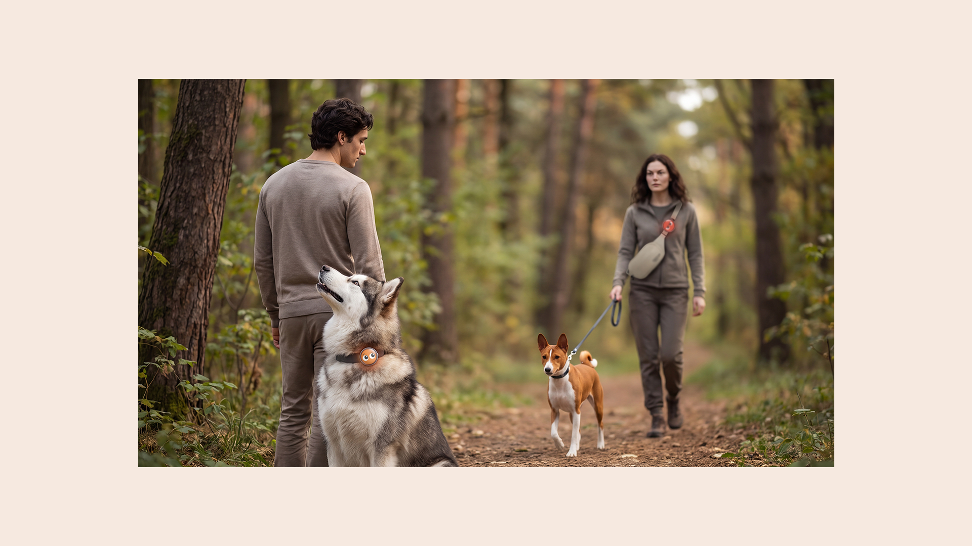 Pawsona — Emotional Wearable for Dogs — Изображение №12 — Промдизайн, Нейро на Dprofile