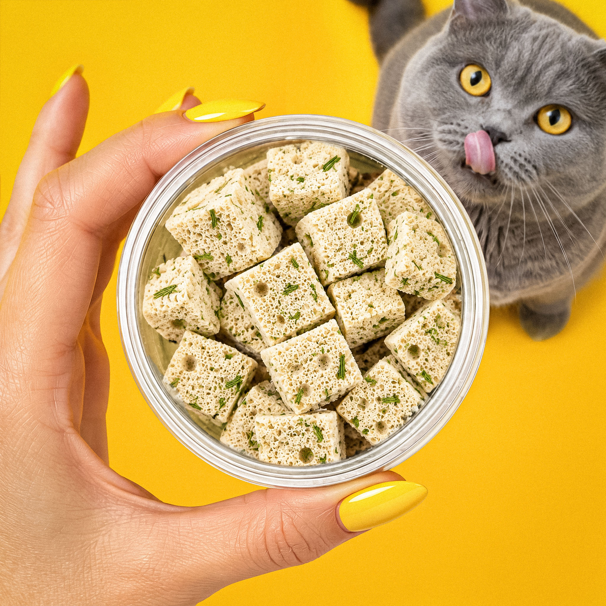 YUMEKO — Freeze-Dried Treats Brand Identity & Packaging — Изображение №35 — Брендинг, 3D на Dprofile