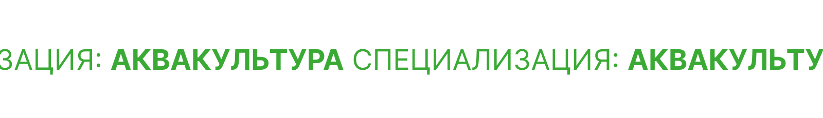 КАДРЫ В АПК — Изображение №15 — Брендинг, Графика на Dprofile