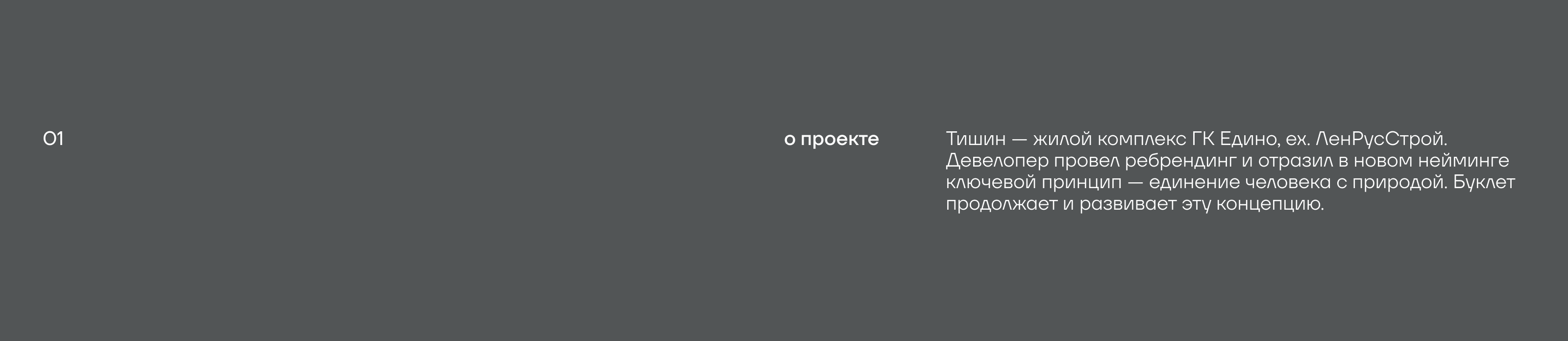 Тишин | Буклет проекта — Изображение №2 — Брендинг, Графика на Dprofile