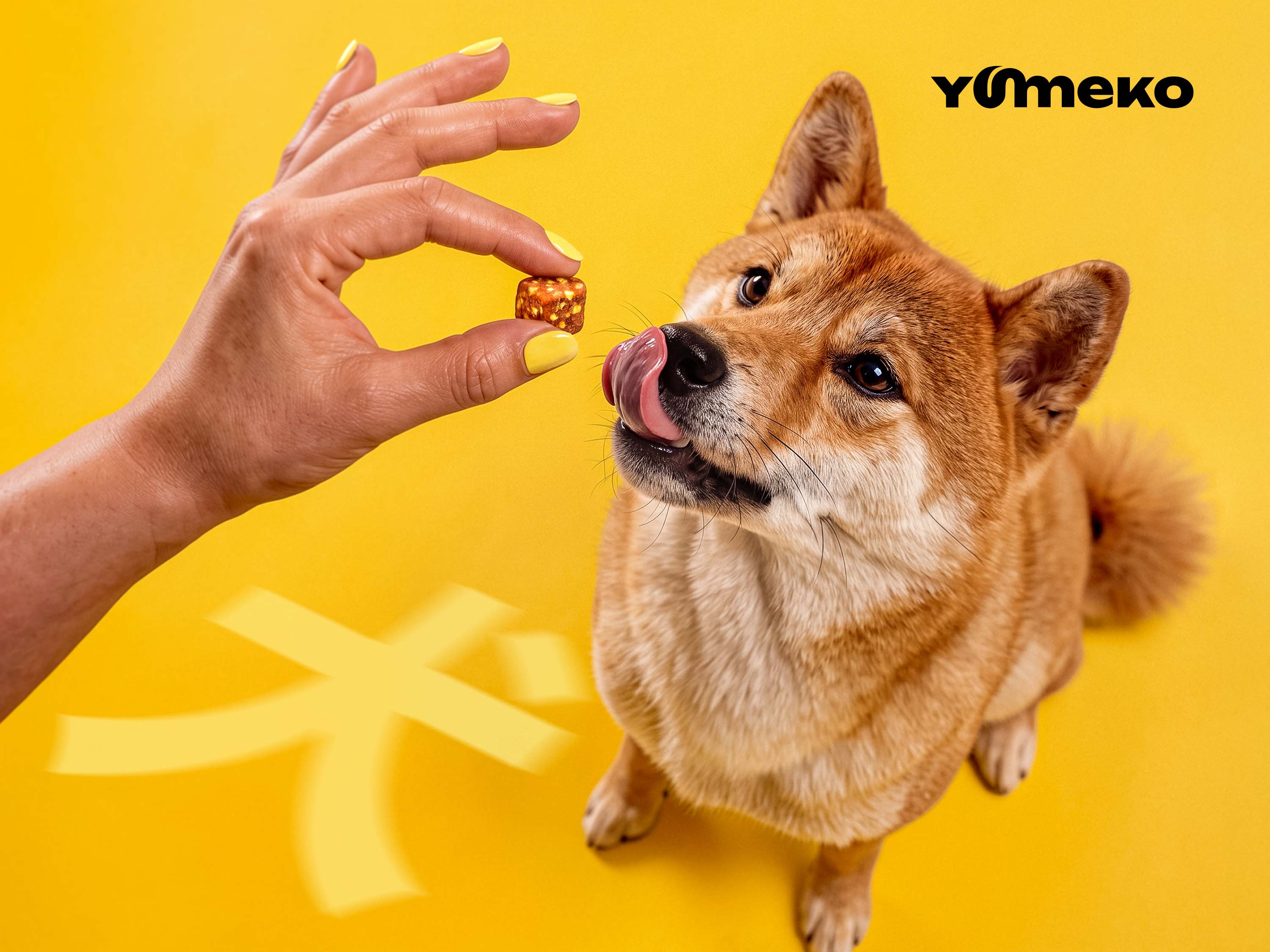YUMEKO — Freeze-Dried Treats Brand Identity & Packaging — Изображение №29 — Брендинг, 3D на Dprofile