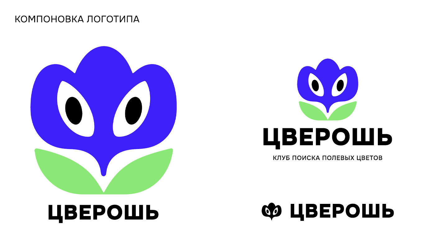 ЦВЕРОШЬ | брендинг — Изображение №6 — Брендинг на Dprofile