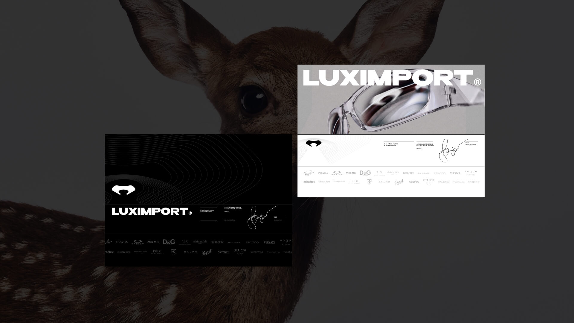 LUXIMPORT. Айдентика и B2B платформа оптики — Изображение №16 — Интерфейсы, Брендинг на Dprofile