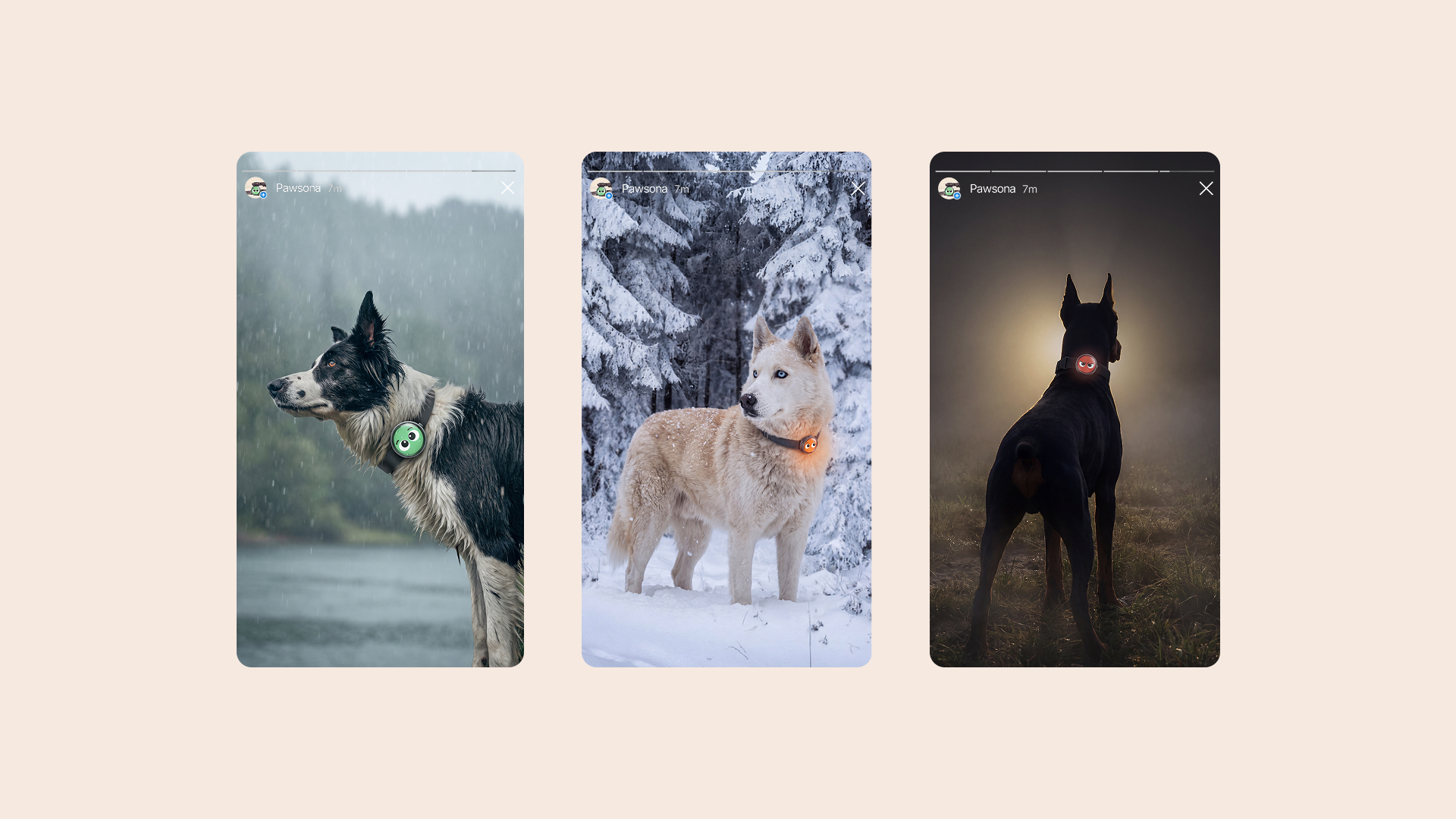 Pawsona — Emotional Wearable for Dogs — Изображение №5 — Промдизайн, Нейро на Dprofile