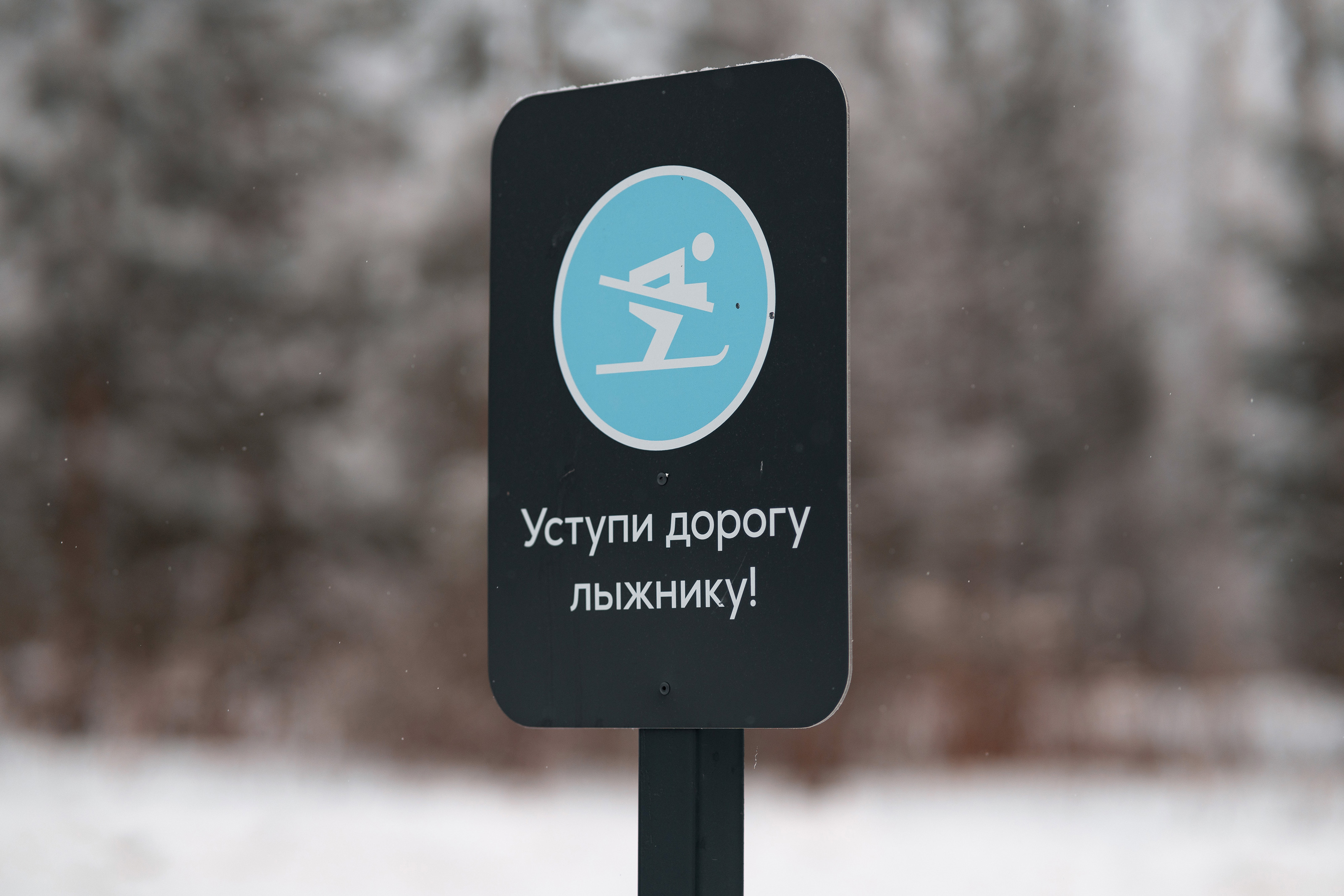 Пиктограммы «Березовой Рощи» — Изображение №11 — Графика на Dprofile