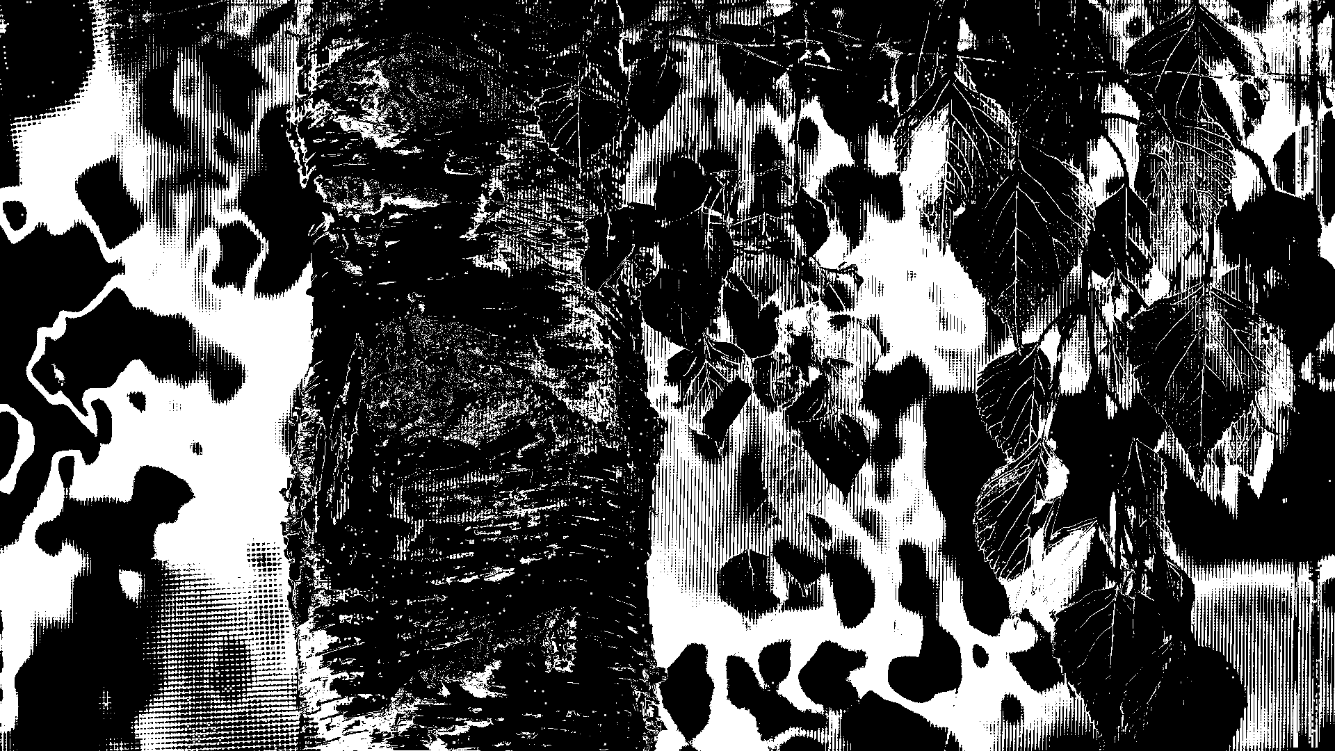 Birch Grove — Изображение №7 — Нейро на Dprofile