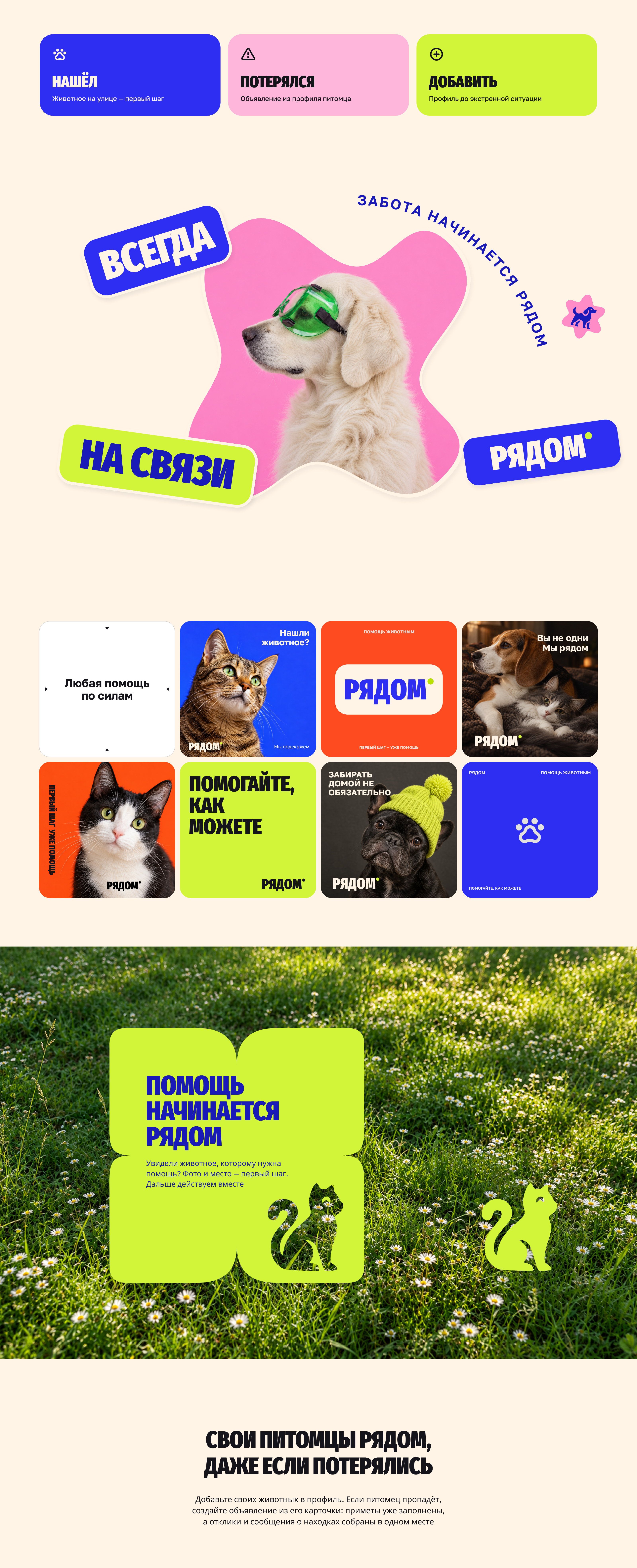 Рядом — помощь животным | UX/UI & Brand Identity — Изображение №7 — Интерфейсы, Брендинг на Dprofile