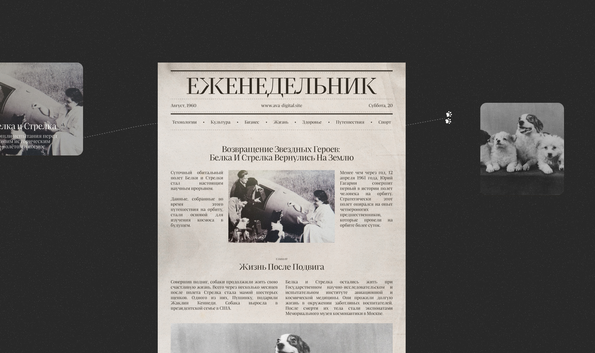 Белка и Стрелка — Изображение №14 — Интерфейсы, Иллюстрация на Dprofile