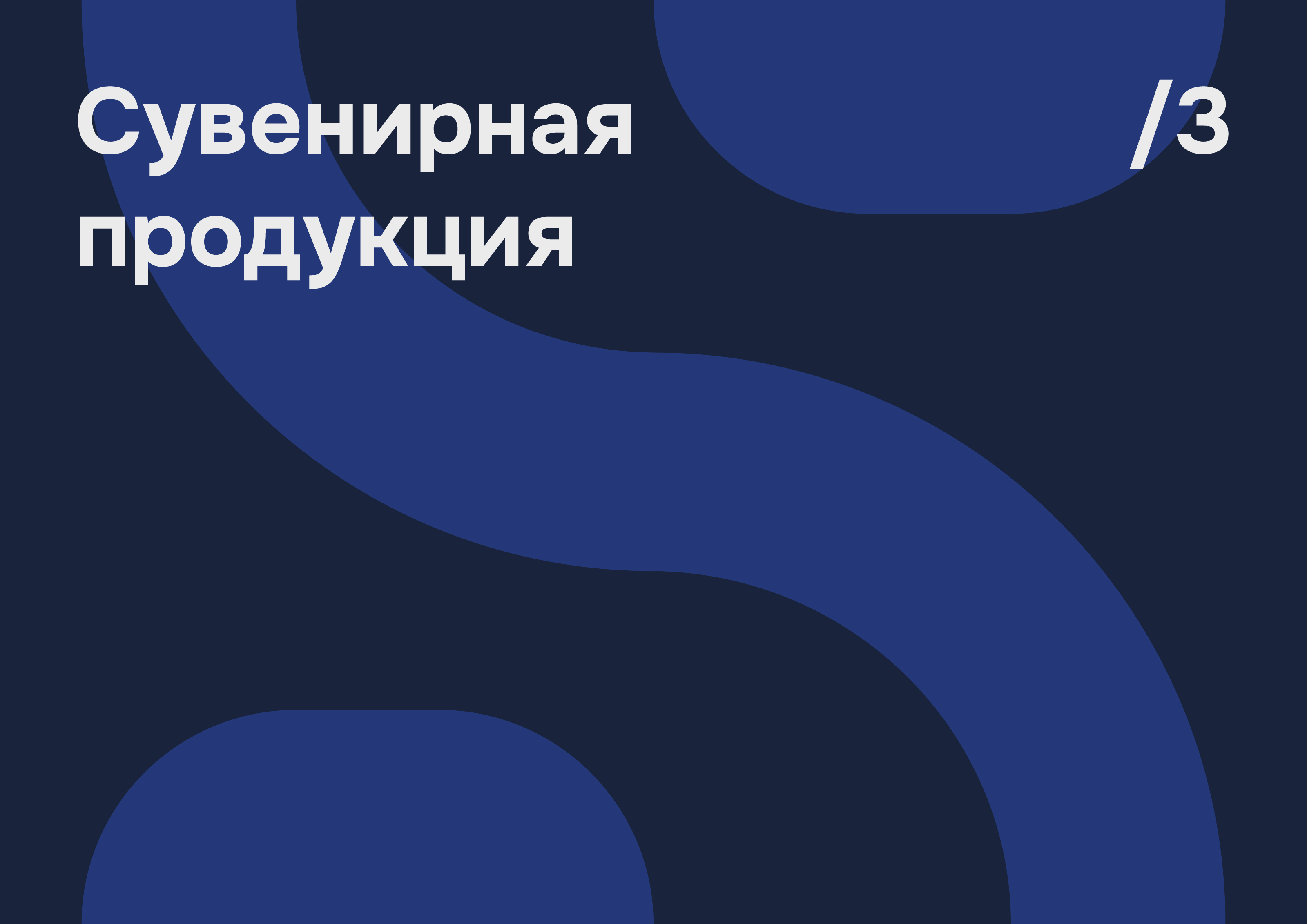 Nirapo | Brandbook — Изображение №25 — Брендинг, Графика на Dprofile