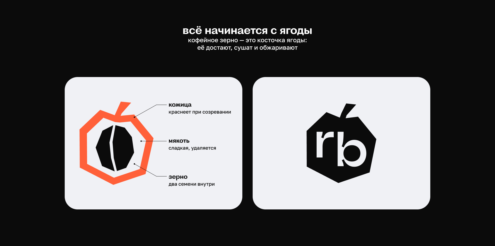 Roastberry — обжарщик кофе — Изображение №6 — Брендинг, Иллюстрация на Dprofile