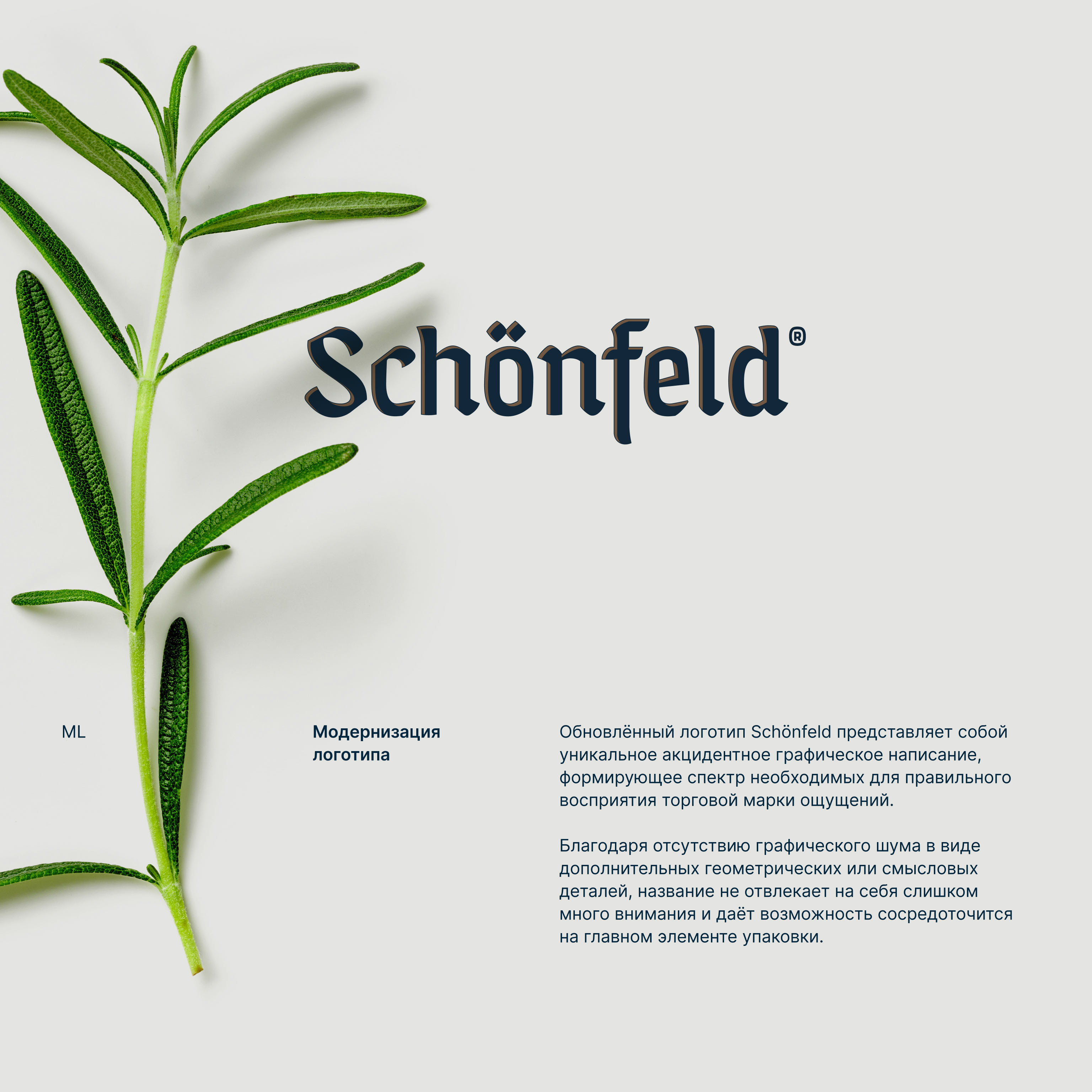 Schonfeld — ребрендинг упаковки, упаковка продукта, рестайлинг логотипа — Изображение №3 — Брендинг на Dprofile