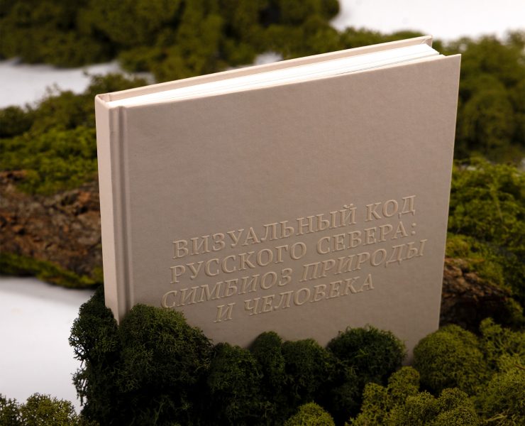 Визуальный код Русского Севера: симбиоз природы и человека | Книга — Брендинг, Графика на Dprofile