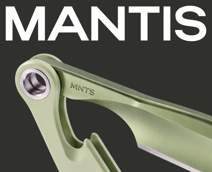 MANTIS —  AI концепт шаветки на Dprofile