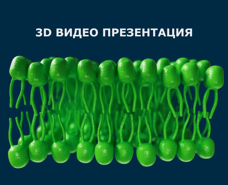 Медицинская 3d видео презентация — 3D, Анимация на Dprofile