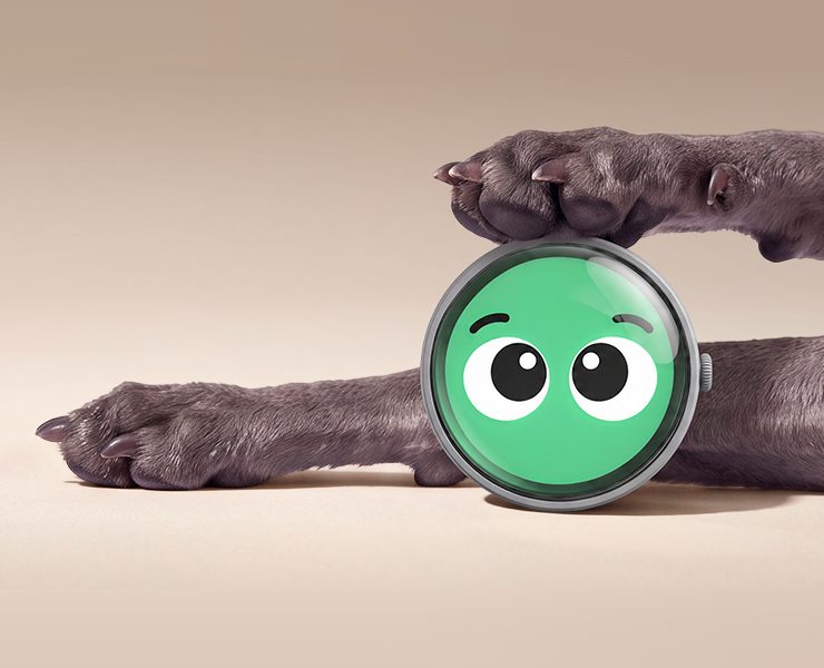 Pawsona — Emotional Wearable for Dogs — Промдизайн, Нейро на Dprofile
