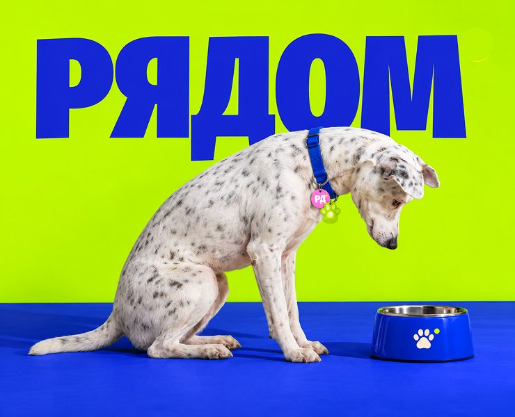 Рядом — помощь животным | UX/UI & Brand Identity — Интерфейсы, Брендинг на Dprofile