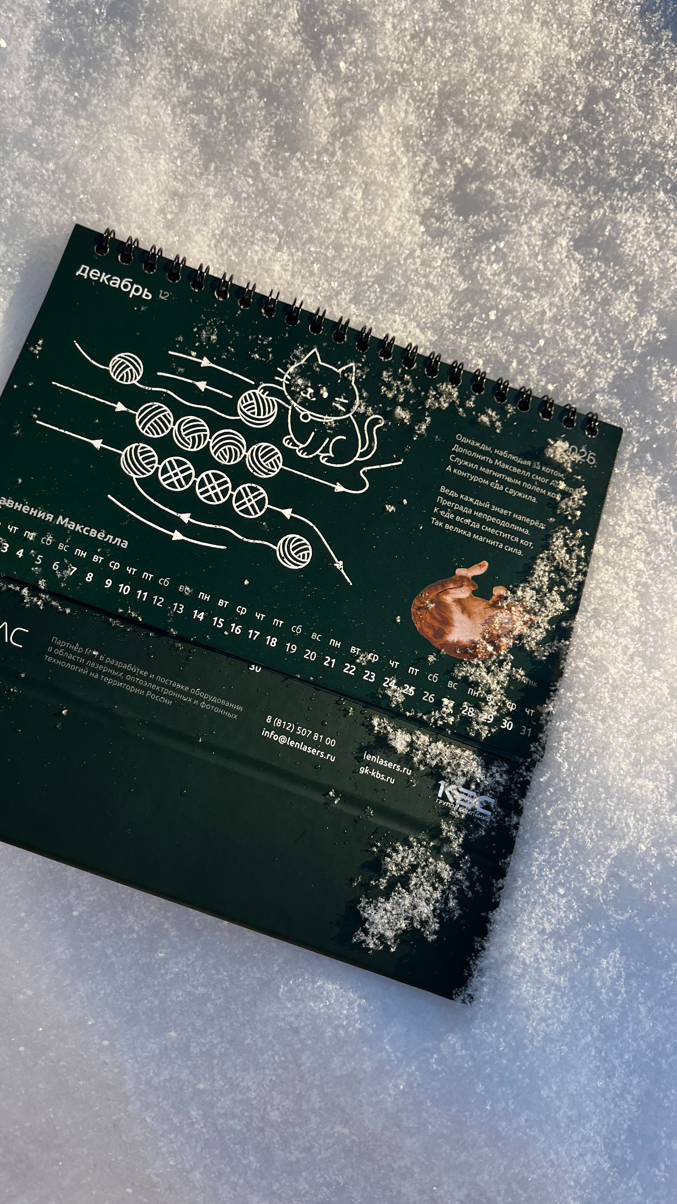 История специалиста Антон Пишун