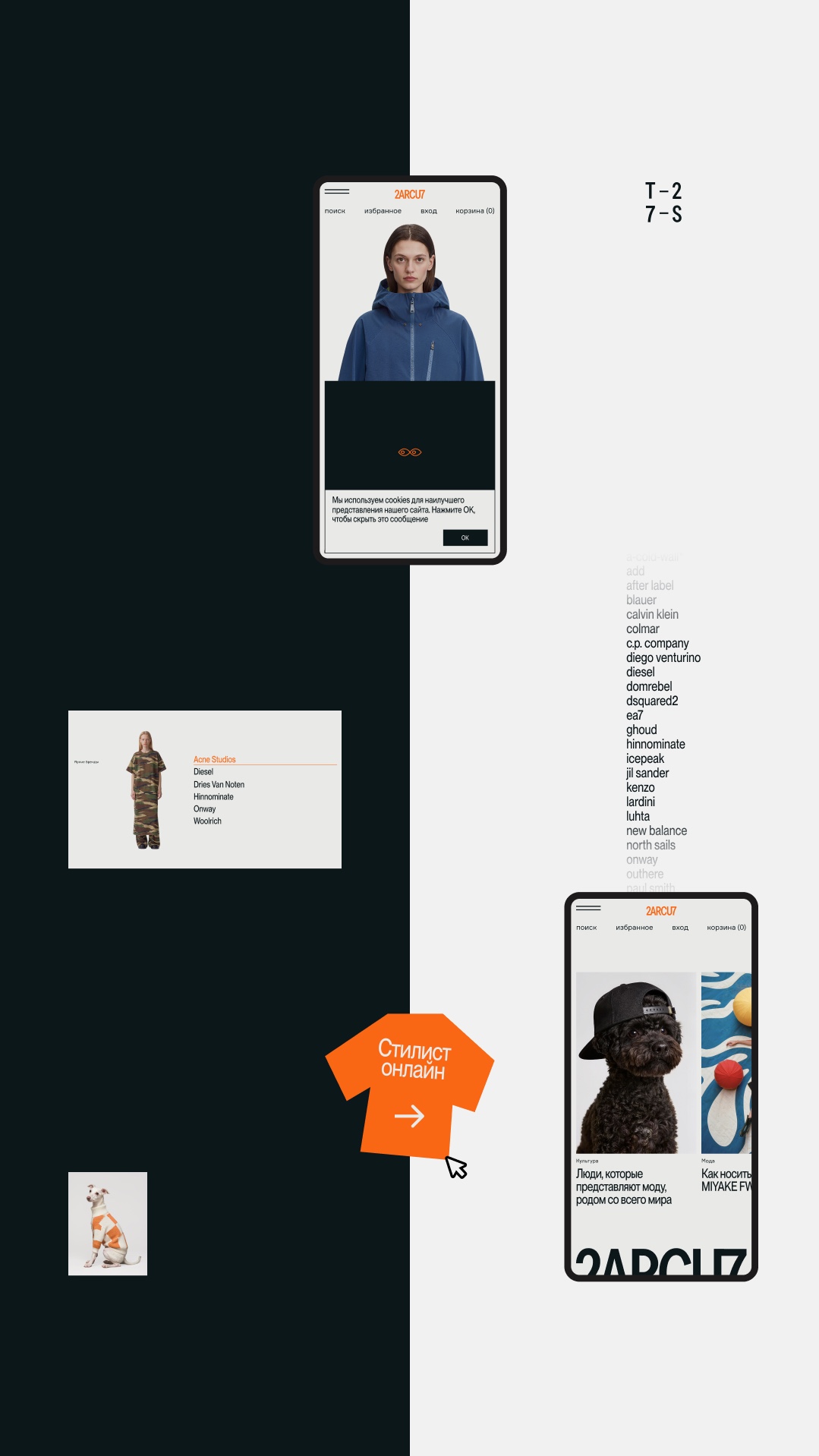 История специалиста Дмитрий Ряскин