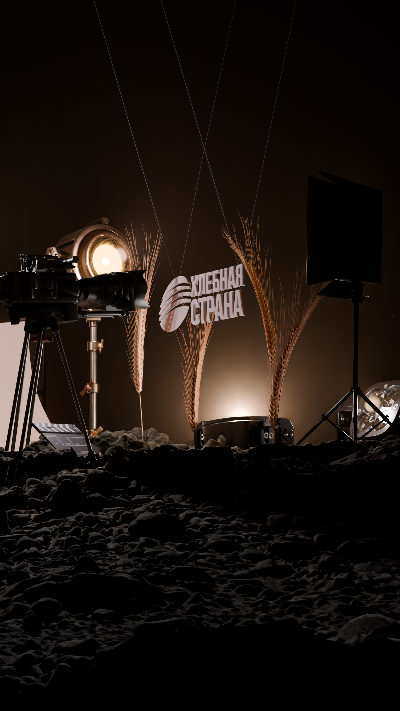 История специалиста Данил Киткин