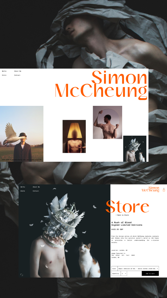 История специалиста Макс Соколов